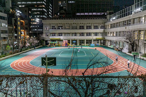 本赛季至今欧洲五大联赛抢断榜：帕利尼亚49次居首